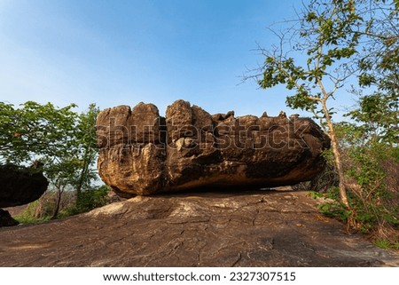 
The morning sun shines on the many large, beautiful rocks that line the cliff.
Numerous strangely shaped rocks lined up on the cliffs.
A large number of large, beautiful boulders line the cliff.
