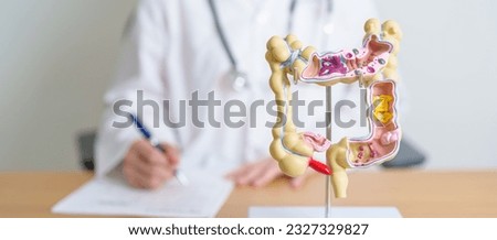 Doctor with human Colon anatomy model. Colonic disease, Large Intestine, Colorectal cancer, Ulcerative colitis, Diverticulitis, Irritable bowel syndrome, Digestive system and Health concept Royalty-Free Stock Photo #2327329827