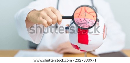 Doctor with human Eye anatomy model with magnifying glass. Eye disease, Refractive Errors, Age Related Macular Degeneration, Cataract, Diabetic Retinopathy, Glaucoma, Amblyopia, Strabismus and Health Royalty-Free Stock Photo #2327330971