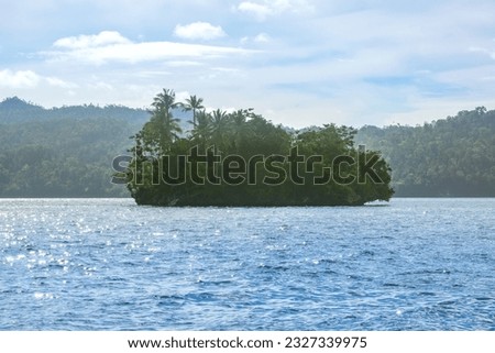 Tropical bay. A small island densely overgrown with jungle