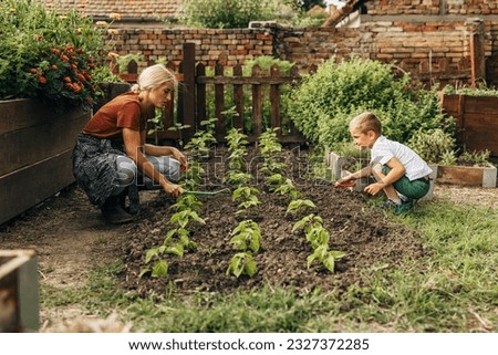 Mother and son hoeing the earth together in the garden. Royalty-Free Stock Photo #2327372285
