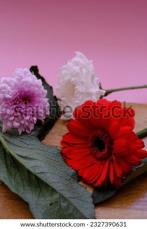 Beautiful picture of flowers ,Florals composition of red Gebera flower
