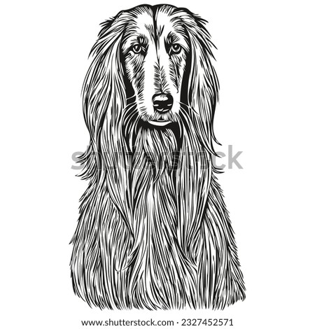 Afghan Hound dog line illustration, black and white ink sketch face portrait in vector realistic breed pet