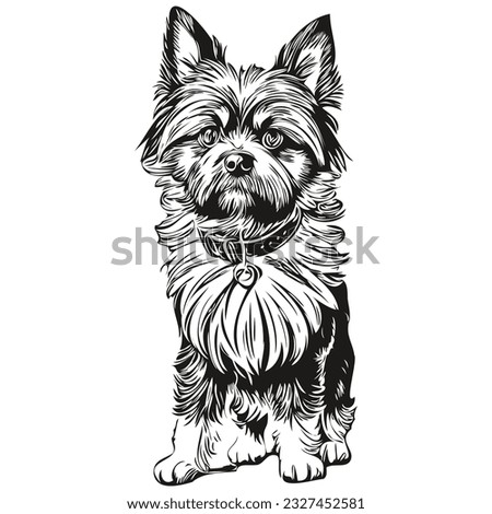 Affenpinscher dog black drawing vector, isolated face painting sketch line illustration