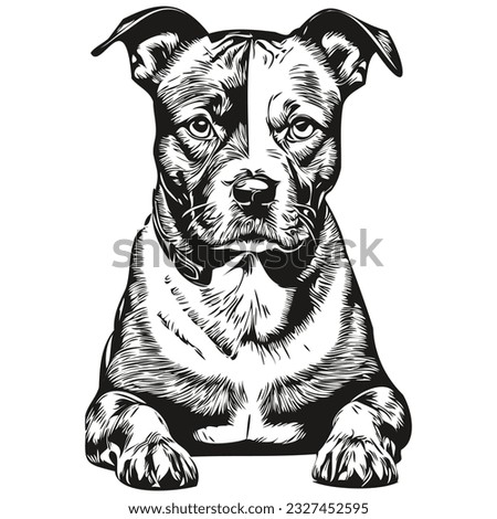 Staffordshire Bull Terrier dog logo vector black and white, vintage cute dog head engraved