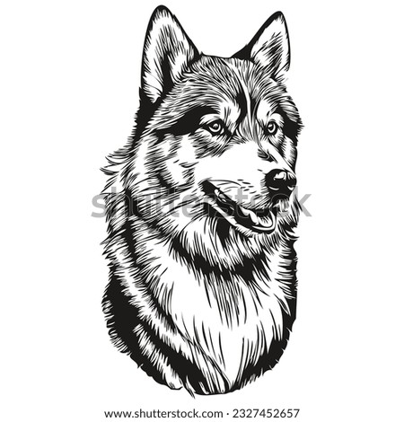 Malamute dog ink sketch drawing, vintage tattoo or t shirt print black and white vector realistic breed pet
