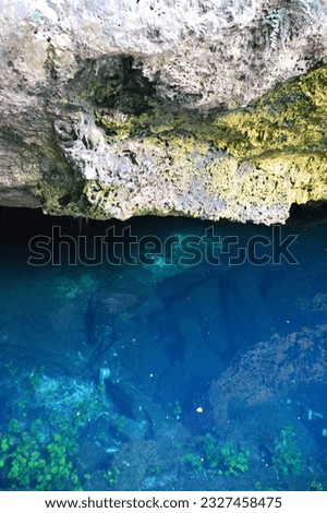 cenote in mexico. picture with water