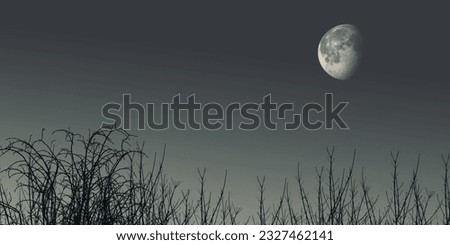 The moon shining in the cloudless dark sky in the midnight