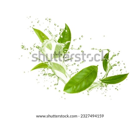 Green tea leaves, wave splash and drops. Isolated 3d vector herbal drink with fresh foliage cascade in transparent aqua with splashing droplets, encapsulating the essence of freshness and invigoration Royalty-Free Stock Photo #2327494159
