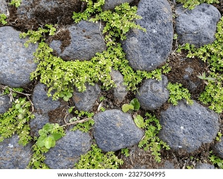 Small stone wall background texture