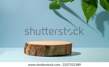 Podium with colorful pastel background and tree or leaf stand or podium pedestal on advertising display with blank backdrops.