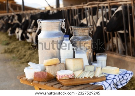 Image of fresh delicious farm dairy production laid out on the table the background with cows