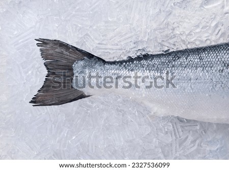 A picture of fresh salmon laying on an ice tray.