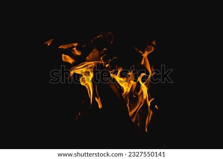 Flame close up, burning firewood in a fire pit