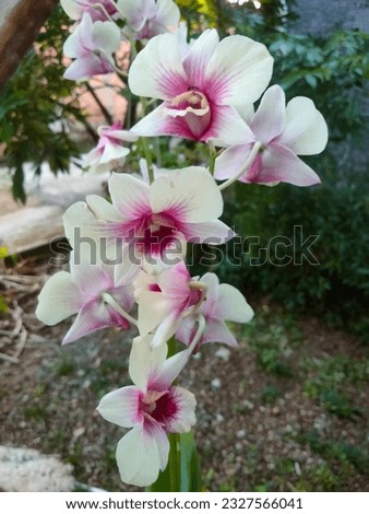 soft combination orchid colors make an amazing decoration
