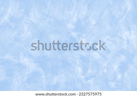 Beautiful pastel blue white color trends feather pattern texture background
