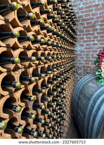 In a sparkling wine cellar many bottles of sparkling wine are stored