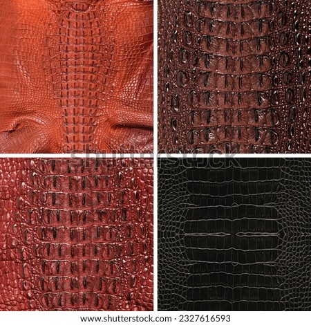 Natural crocodile skin in various colors, suitable for luxury clothing and accessories photo collage, website header banner