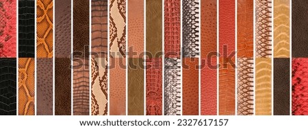 Natural cowhide, snake, crocodile, ostrich, skin, luxury clothing and accessories in various colors suitable for photo collage, website header banner
