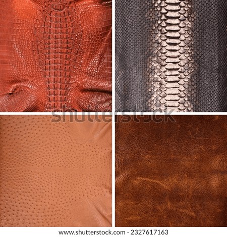 Natural cowhide, snake, crocodile, ostrich, skin, luxury clothing and accessories in various colors suitable for photo collage, website header banner