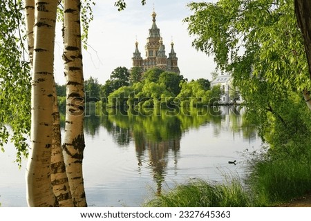 Birches, a pond and the Church of the Apostles Peter and Paul in Peterhof, Leningrad Region. Typical, traditional Russian nature.