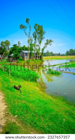 Beautiful Nature Wallpaper Of Bangladesh | Nature Wallpaper Full HD | Natural Village Picture of Bangladesh