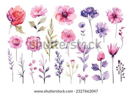 Watercolor Transparent floral pattern isolated on white background