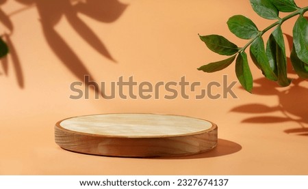 Podium with colorful pastel background and tree or leaf stand or podium pedestal on advertising display with blank backdrops.