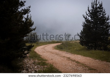 dirt road through foggy forest