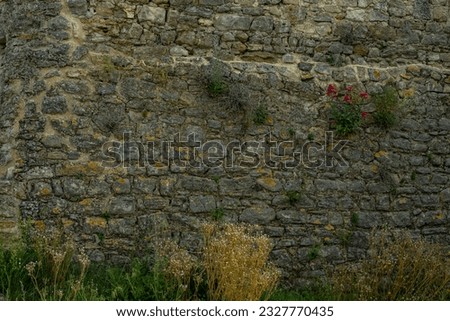 Ruins and Nature in France