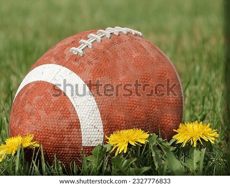 close-up picture of a football