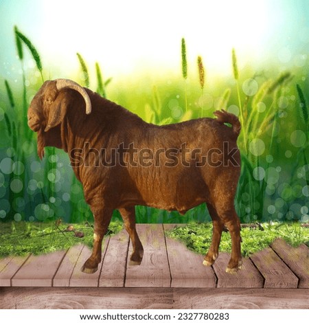 A beautiful goat pictur with green background