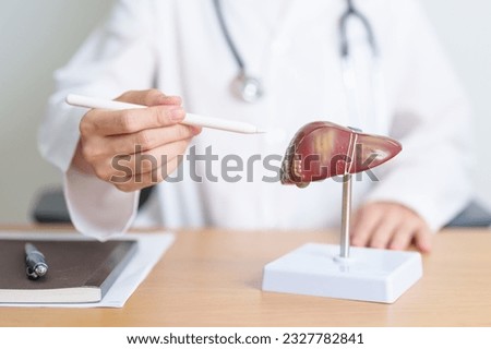 Doctor with human Liver anatomy model. Liver cancer and Tumor, Jaundice, Viral Hepatitis A, B, C, D, E, Cirrhosis, Failure, Enlarged, Hepatic Encephalopathy, Ascites Fluid in Belly and health concept Royalty-Free Stock Photo #2327782841