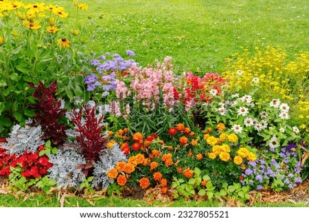 Multicolor blooming front garden. Outdoor summer gardening. Multi-colored flower bed in the park. Lots of beautiful summer flowers. Lush bright flowering in the garden. Royalty-Free Stock Photo #2327805521