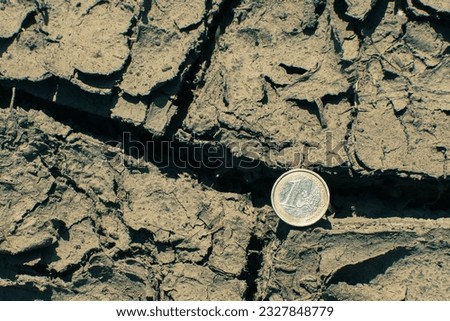 The euro coin lies on the drought-cracked earth