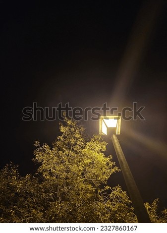 Looking up a light post in the night.