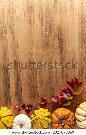 Empty Thanksgiving background with pumpkins and autumn leaves, copy space for text.