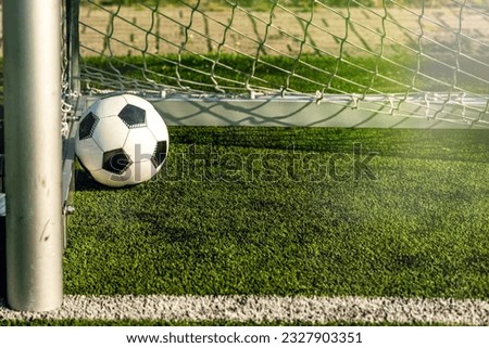 football ball nets goal concept