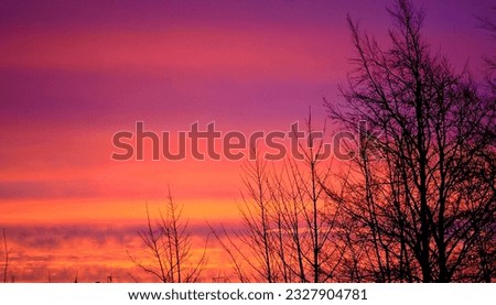Sunrise through trees | Beautiful scenery pictures, Scenery pictures, Sunrise sunset.