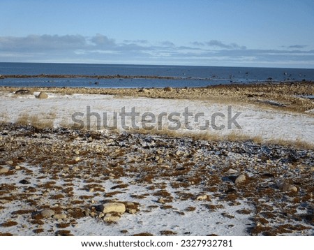 light blue sky, deep blue sea and rocky snow-covered sub-arctic tundra shore