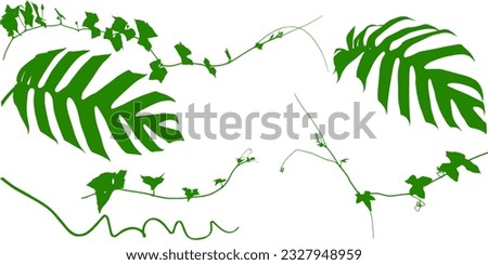 Plant flower, Vine Liana ivy plant bush nature jungle rainforest. Royalty-Free Stock Photo #2327948959