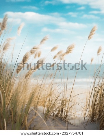 Beach Grass Looking towards a sandy beach with bright blue sky and white clouds taken from a low perspective. Peeking through beach grass towards the ocean. Royalty-Free Stock Photo #2327954701