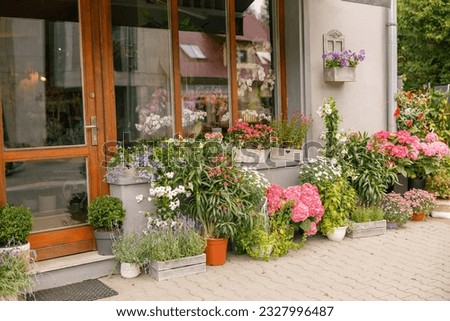 Facade of beautiful flower shop with different housplants and flowers . High quality photo