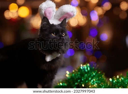 Cute cat in Santa Claus hat against blurred Christmas lights