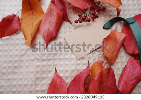 Colorful autumn leaves and blank tag for thanks giving and Fall seasonal greeting. Autumn greeting concept background.