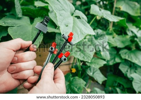 Drip irrigation.Equipment for gardens and orchards. Drip hose and sprinkler in male hands .Irrigation equipment. Organization of drip irrigation in the garden season  Royalty-Free Stock Photo #2328050893