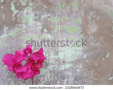 Wall surface texture for background.