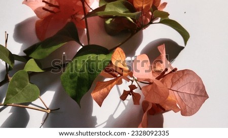 bright red paper flowers for decoration