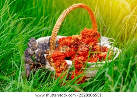basket with Dried Bell Pepper and Dried Stuffed Eggplant in the grass for a picnic