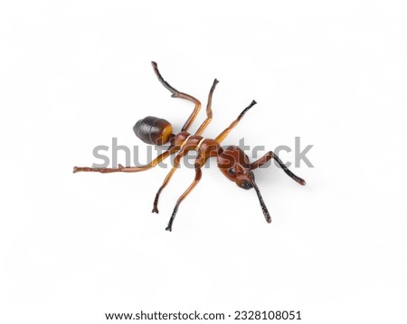 Fire ant plastic miniature toy on a white background